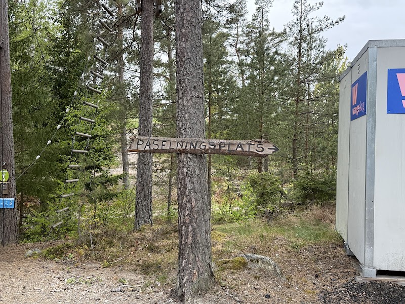 Sportlov i skidbacken