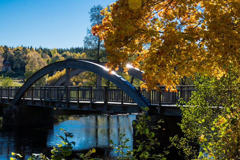 Världsautismdagen och barnbokens betydelse uppmärksammas idag