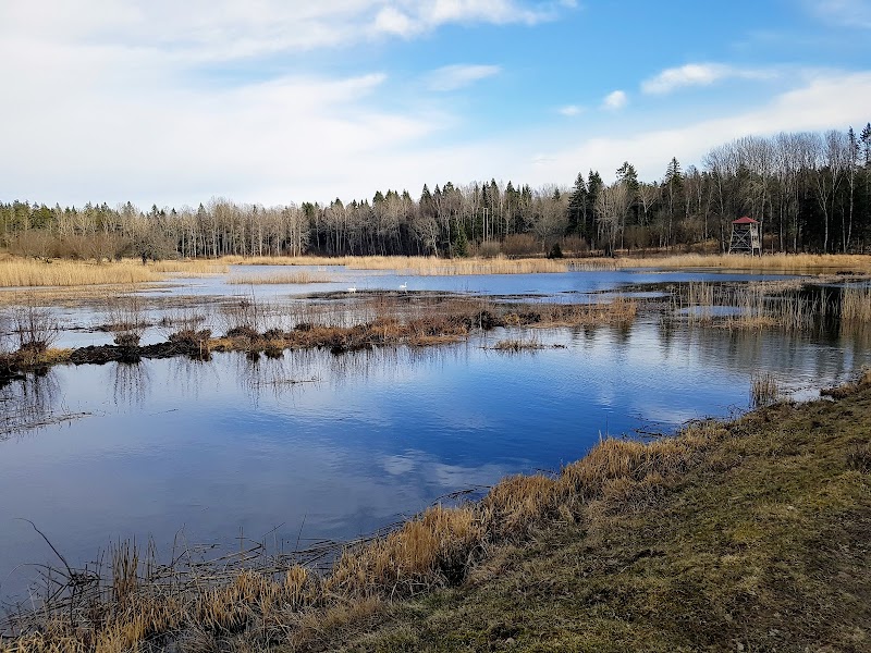 Advokat åtalas för grov näringspenningtvätt i Södertälje