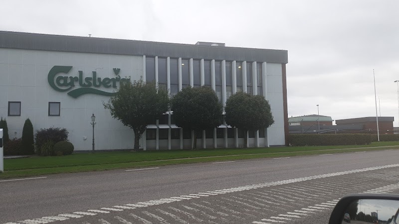 Sverige slår rekord i försäljning av sockerfri läsk – Carlsberg ökar produktionen