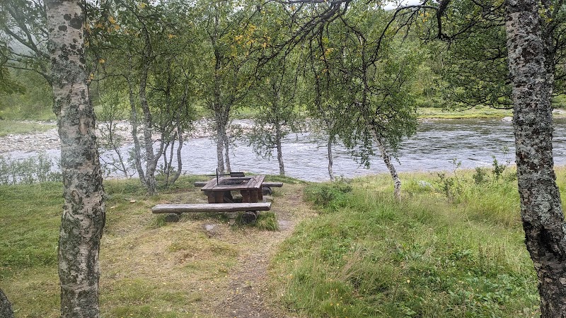 Vindelfjällen: vårt gemensamma fjällrum mellan Hemavan och Ammarnäs