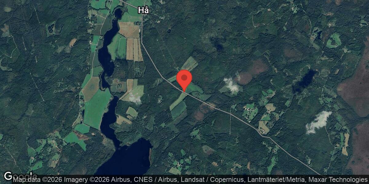 Singelolycka stängde av väg 594 mellan Hamneda och Pjätteryd