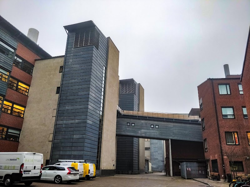 Nature Microbiology publicerar studie om icke‑antibiotisk behandling av återkommande urinvägsinfektioner