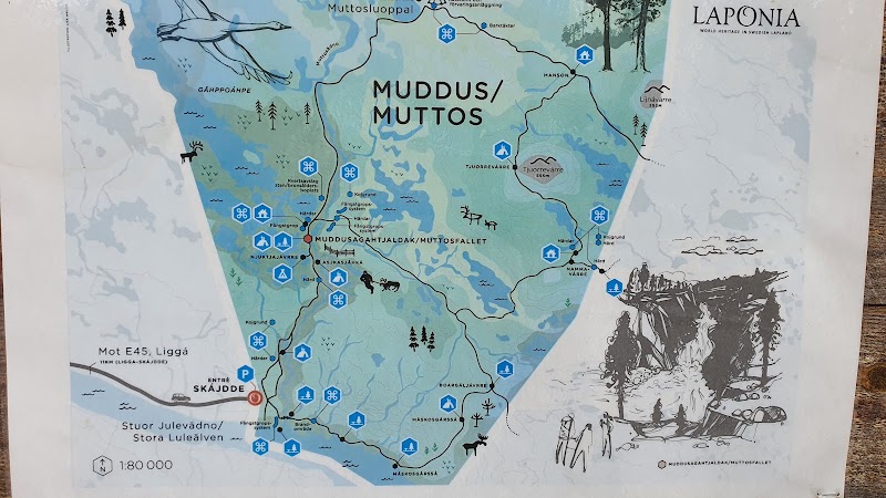 Muddus/Muttos: tystnaden, myrarna och vår stora skog i Laponia
