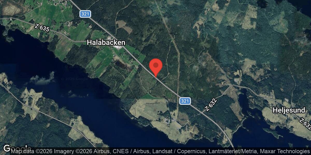 Viltolycka med älg på väg 321 norr om Hallen påverkar trafiken