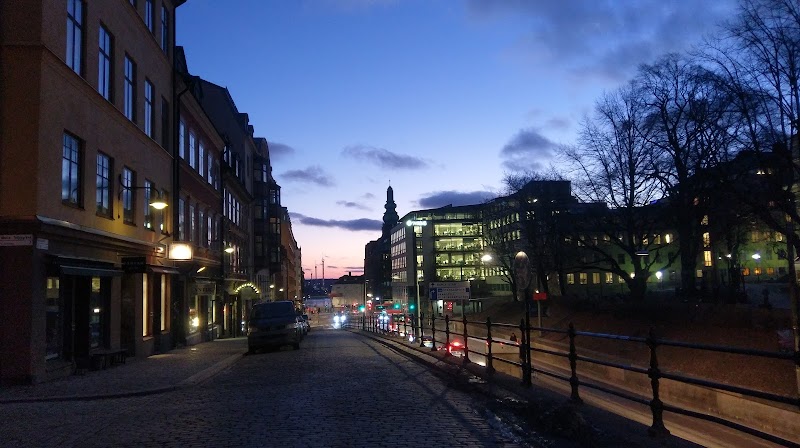 Hyresgästföreningen kräver halverade hyror i nyproducerade lägenheter i Stockholm