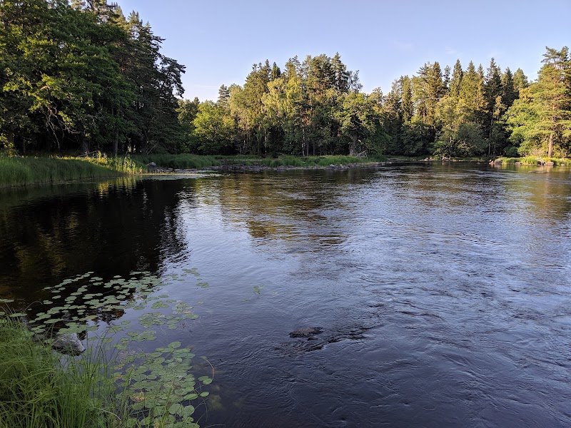 Ugglekväll i Färnebofjärdens nationalpark