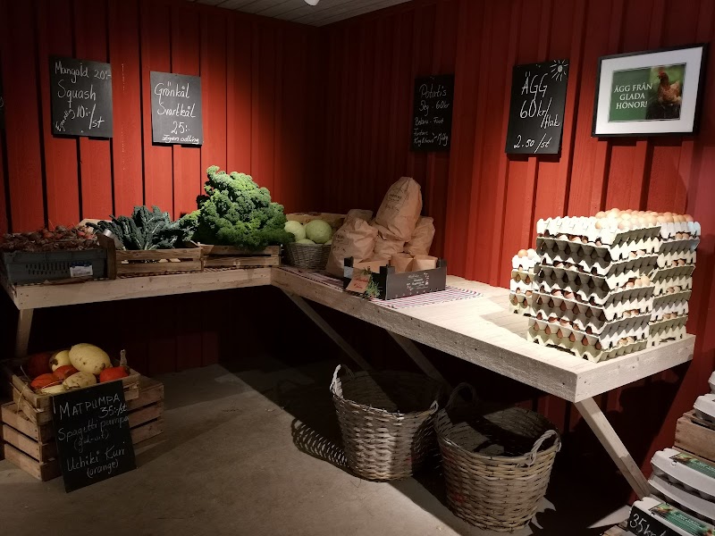 Nämnden kräver utredning om nergrävt avfall i Ullarp