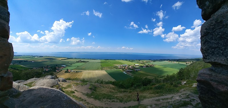 E4 avstängd efter lastbilsbrand mellan Ljungby och Värnamo