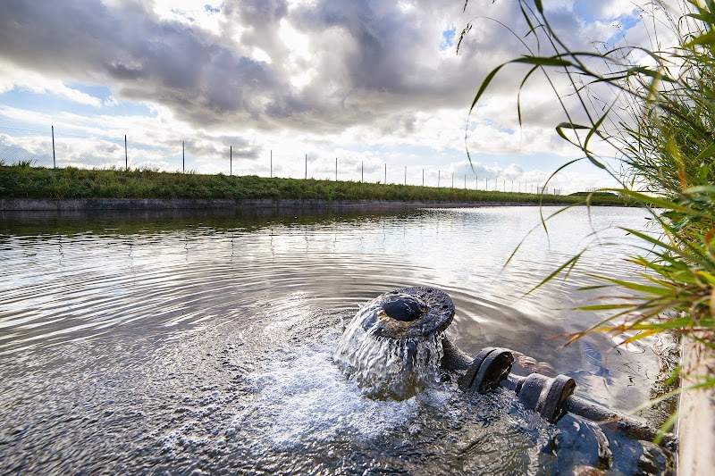 Båstad: nya ägardirektiv för NSR