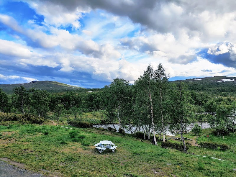 Heldagstur med topptursguide – STF Storulvån