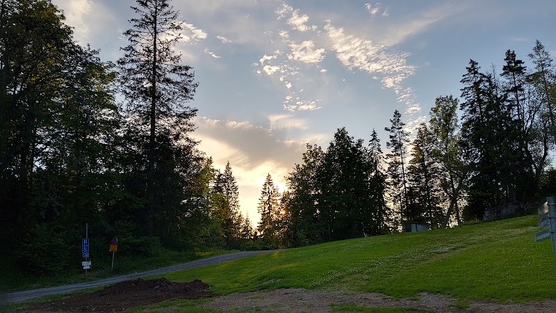 Dra inte i koppel — kurs i koppelträning