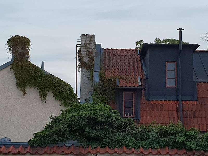 Premiär: "Jawbreaker" om Anti Cimex