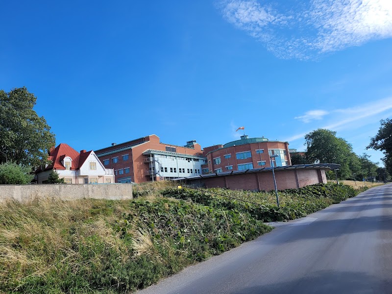 Visby lasarett i förstärkningsläge efter tekniska problem