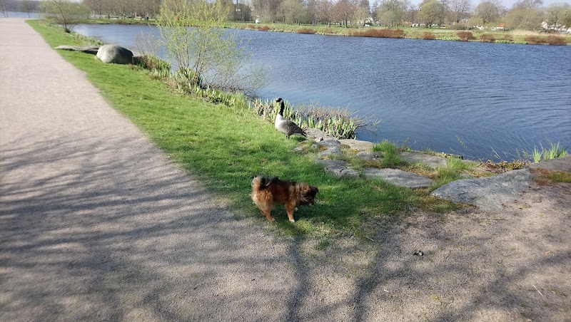 Växjö planerar ny simhall i Bäckaslöv med byggstart 2026