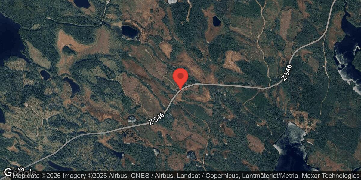 Nedfallet träd blockerade väg 546 mellan Vålesån och Sjöändan