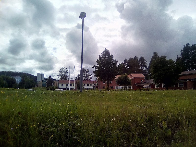 EPIC: Elvis Presley in Concert