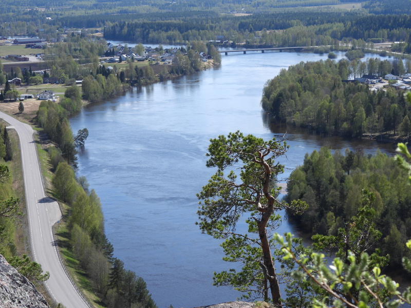 En vidvinkelbild från ovan visar ett slingrande vattendrag omgivet av grönskande träd och vegetation. Längs floden syns bebyggelse och en bro i fjärran. Till vänster löper en asfalterad väg längs strandkanten, och i förgrunden står ett barrträd.