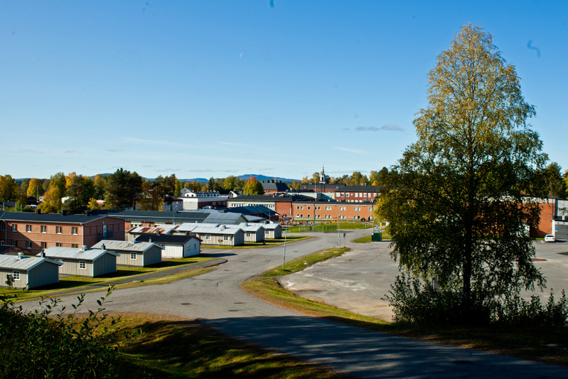 Klar vårdag och Världsröstdagen uppmärksammas