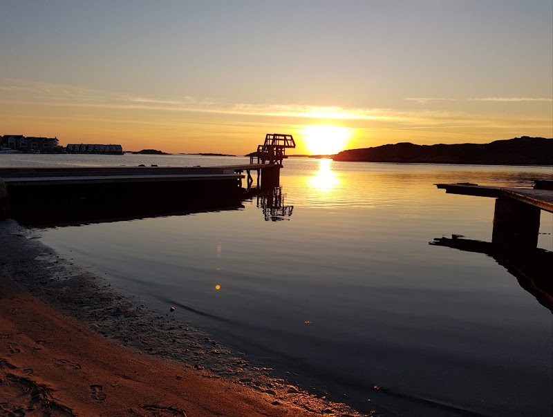 Riskanalys av Tjörns Måltids AB noterad av styrelsen
