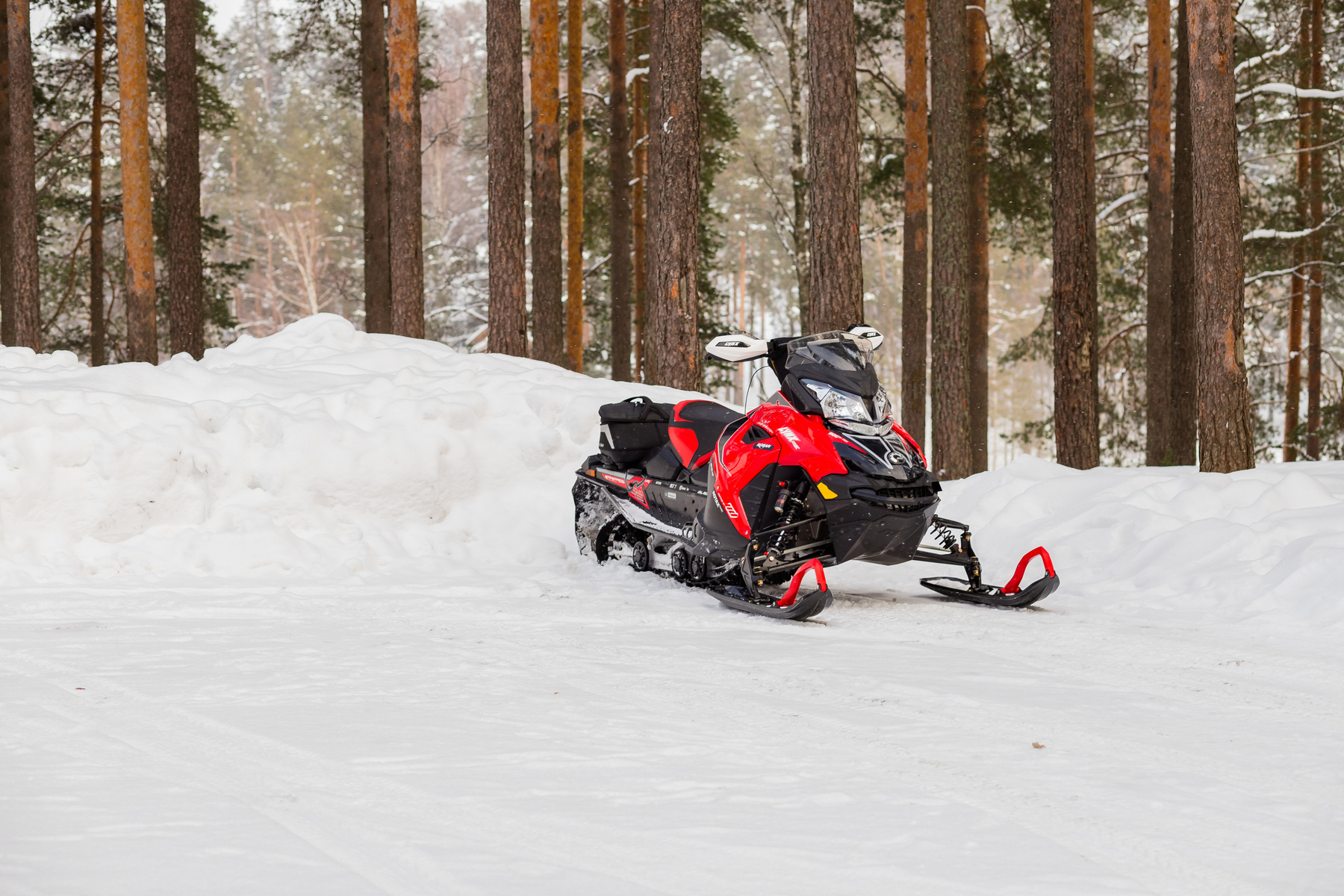 En röd och svart snöskoter står parkerad i ett snötäckt landskap med tallträd i bakgrunden. Snön är djup, och det finns både en upplogad snövall och snö på marken.