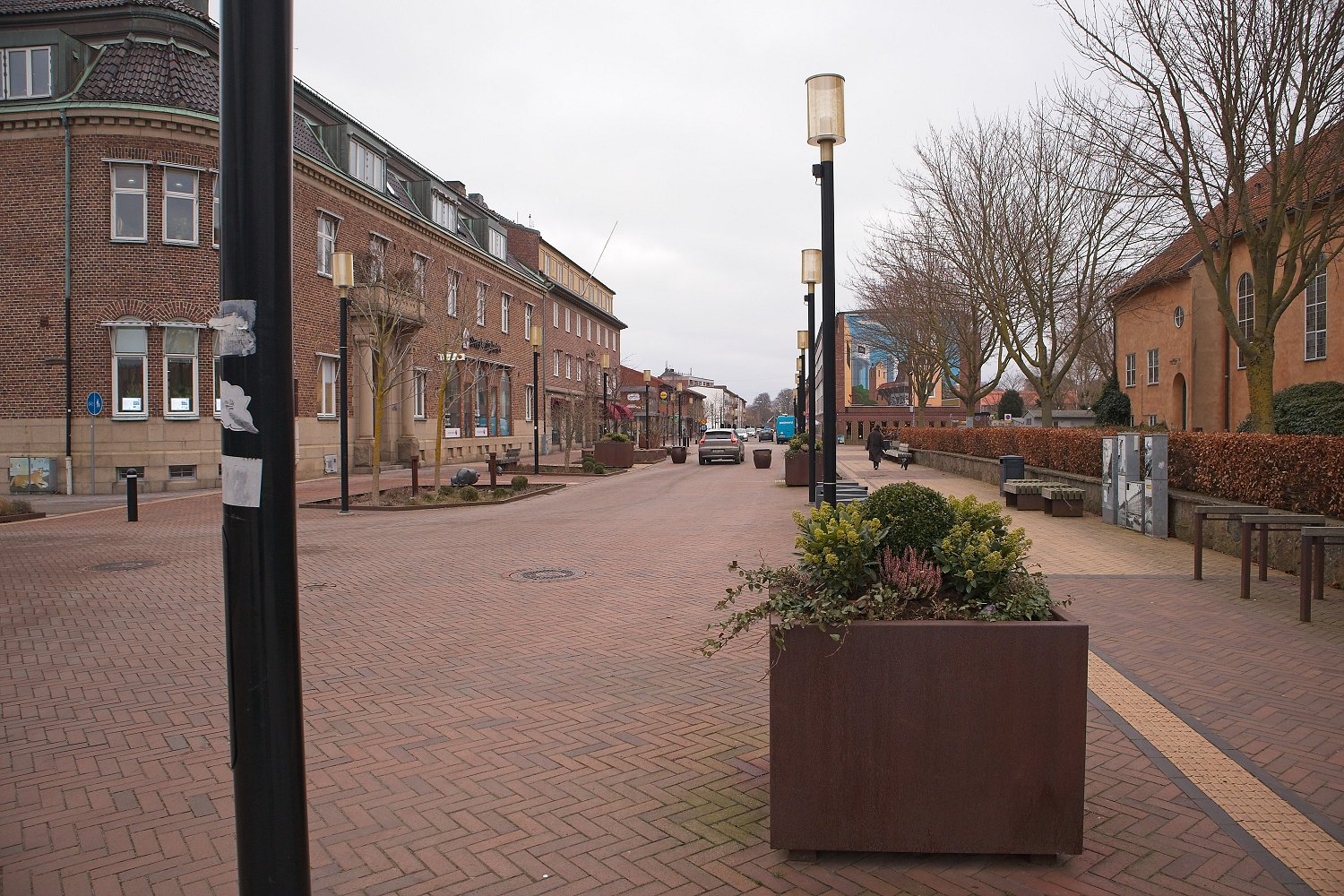 Bilden visar en gata med gatsten och byggnader i tegel, en väg i mitten med bilar och träd med kala grenar. En person går med en hund i bildens högra del. På gatan finns gatlyktor och stora blomlådor med växter.
