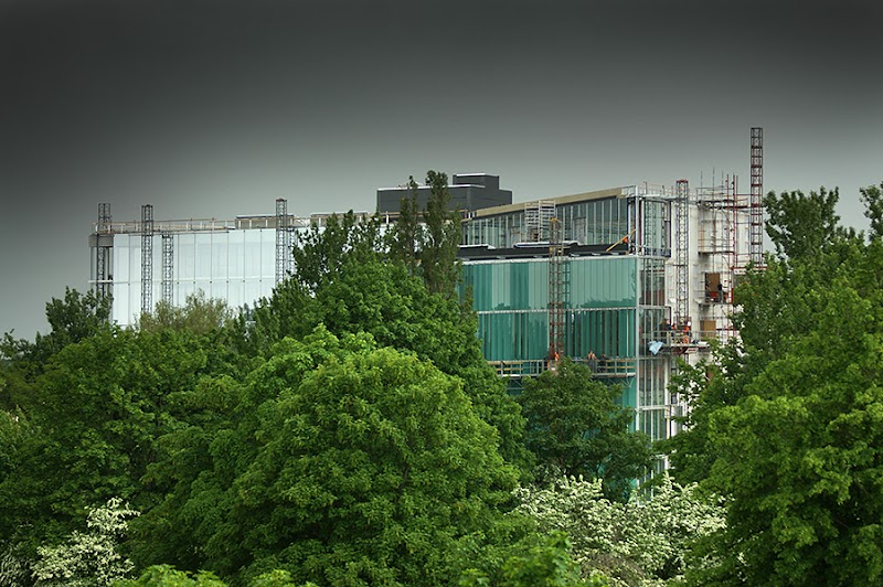 Lund ser över krogregler när matkrav kan försvinna