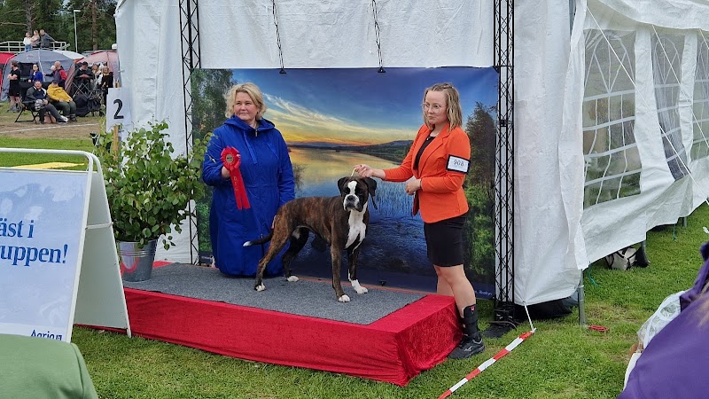 Charlotte Kalla och Gällivare: hur vår kommun formade en världsstjärna