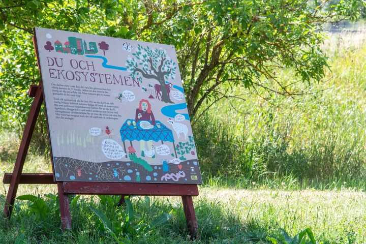 WWF-rapport: Solna i topp för klimatarbete – men fler steg återstår