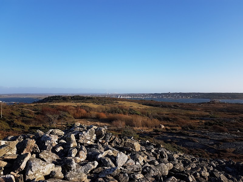 Varbergs kommun vill ha mer information om kompensationsåtgärder för Biskopshagen