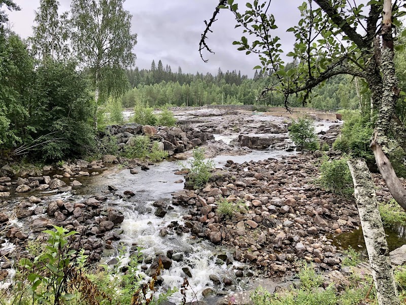 Umeälvens dalgång: älven som format Lyckselebygden — historia, värden och framtid