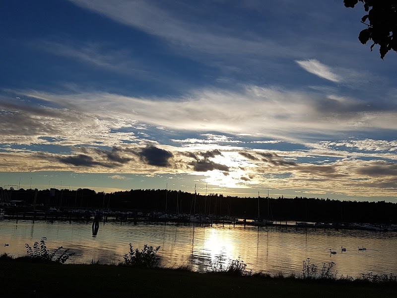 Föreläsning om ungas skärmhälsa 16 april