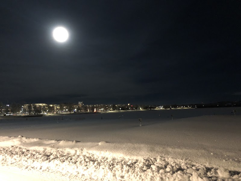 Pitenappet — fisketävling i Piteå