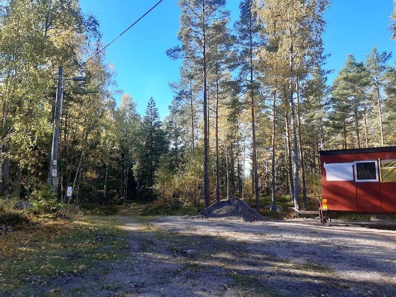 Spring för Livet – motionsdag för gemenskap och insamling