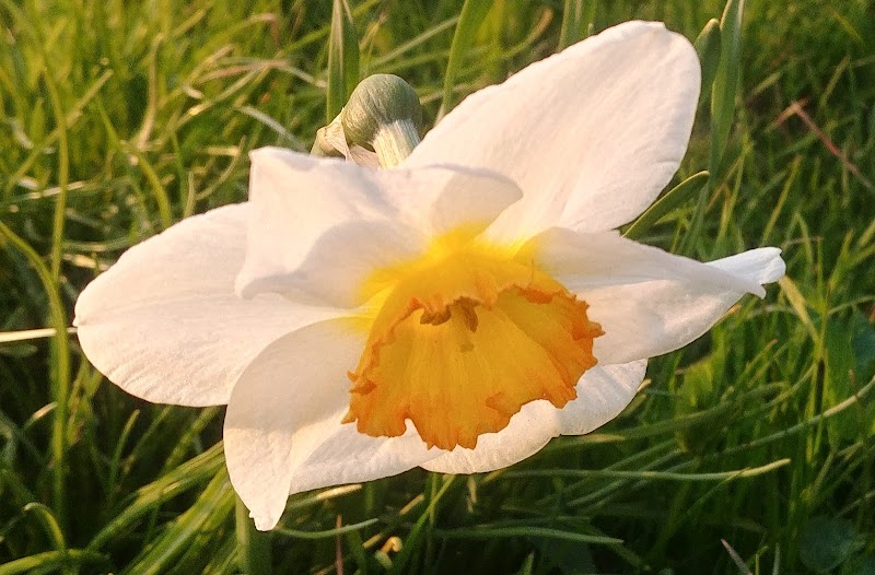 Ekeby i Bjuv: Från tegelbruk till modernt service- och logistiknav