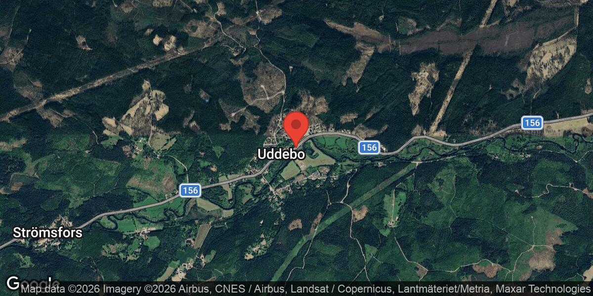 Nedfallet träd blockerar väg 156 vid Uddebo – påverkar trafiken stort