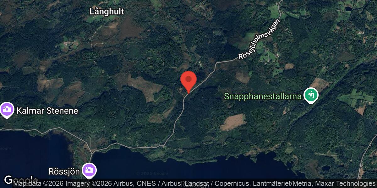 Nedfallet träd blockerade väg 1796 vid Koarp