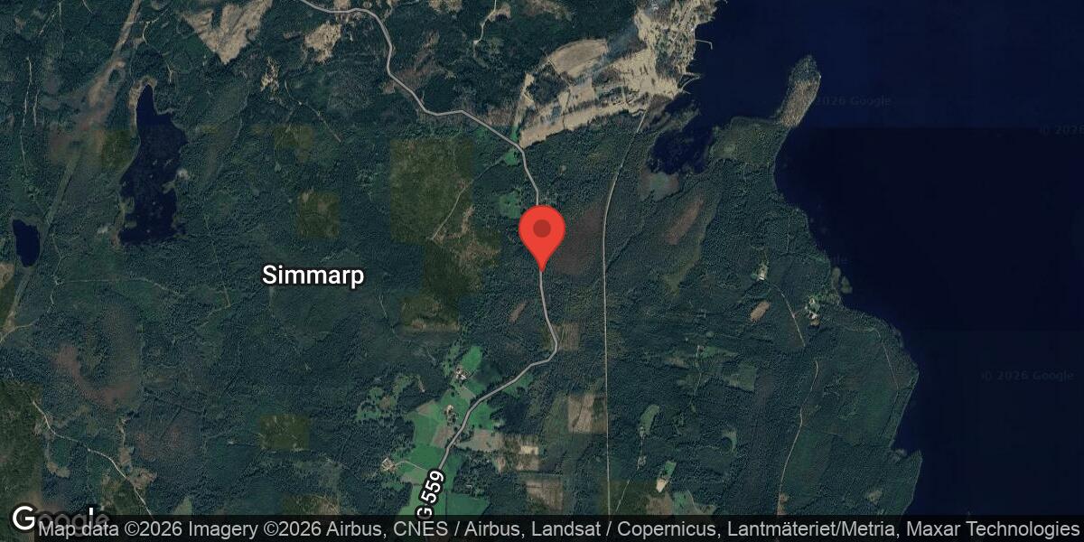 Träd har fallit över Väg 559 vid Vittaryd – liten påverkan på trafiken