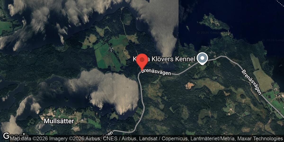 Nedfallet träd orsakade stor påverkan på väg 1182 mellan Hävla Bruk och Brenäs