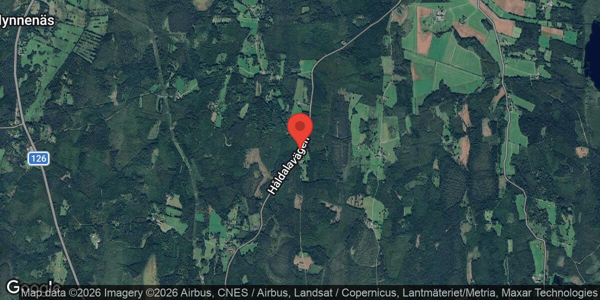 Nedfallet träd blockerar väg 666 mellan Håldala och Torsås by