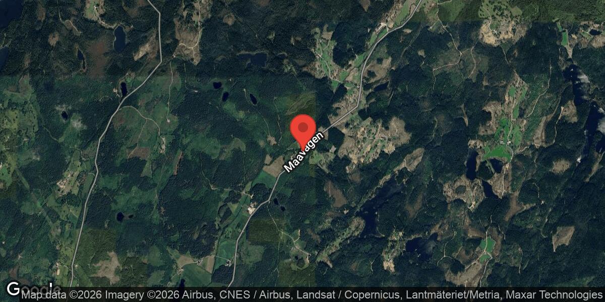 Nedfallet träd blockerar väg 825 mellan Fagered och Maa