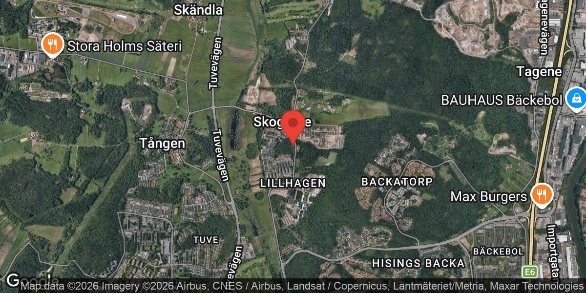 Nedfallet träd blockerade väg 571 vid Skogomeskolan