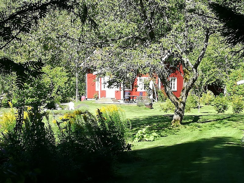 Gymvisning i Kroppefjälls Hundpark