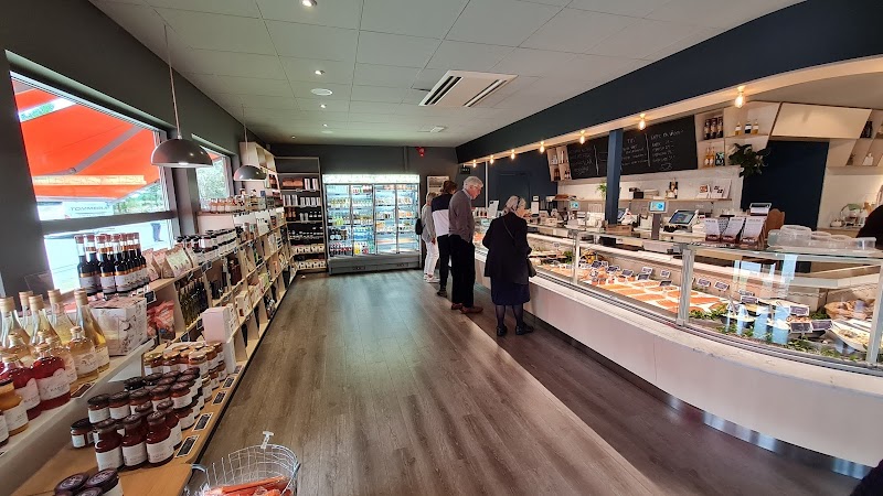 E6 genom Falkenberg: motorvägen som formar vår vardag