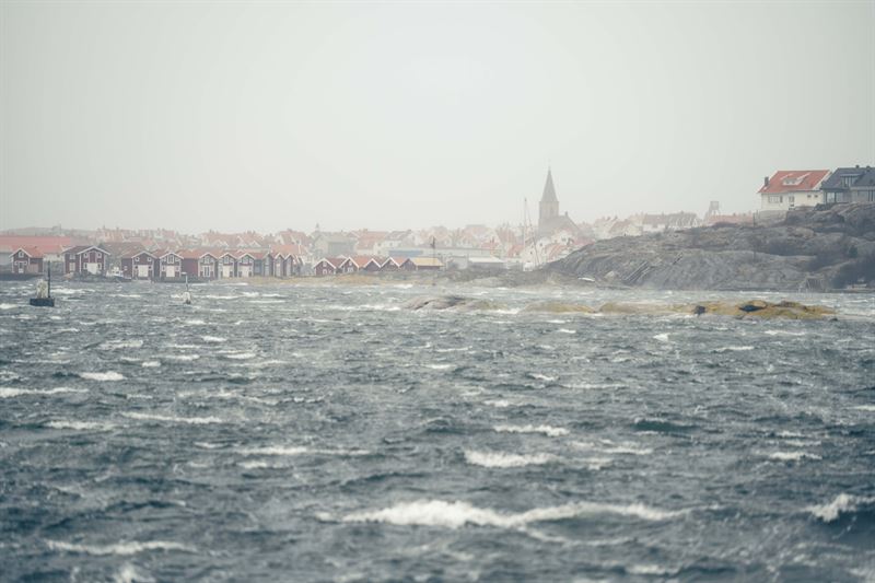 Ellevio: Återställningen efter stormen Dave går in i slutfasen