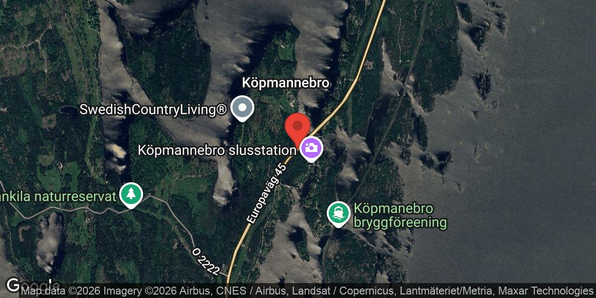 Älg nära vägbanan på E45 mellan Köpmannebro S och Köpmannebro N