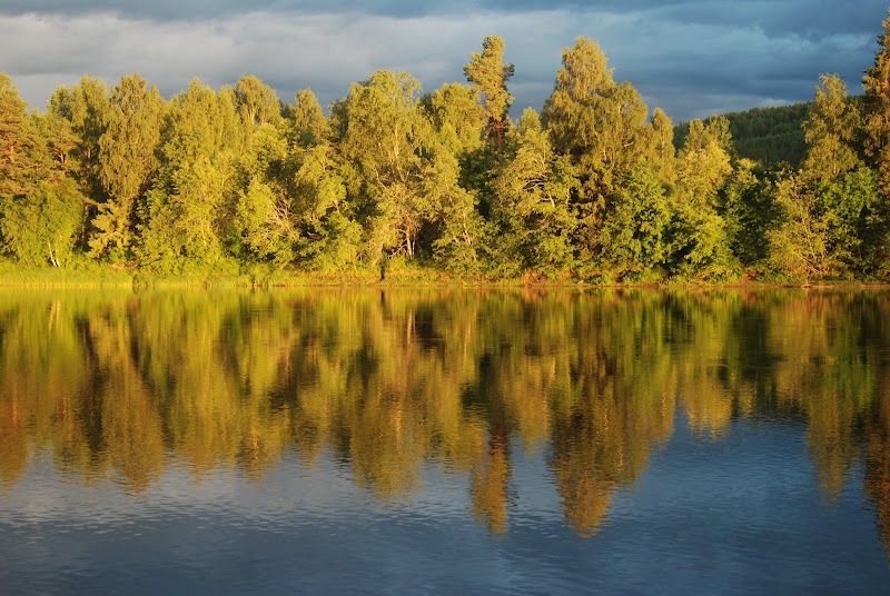 Stöd för föreningar via Landsbygdspotten i Torsby kommun