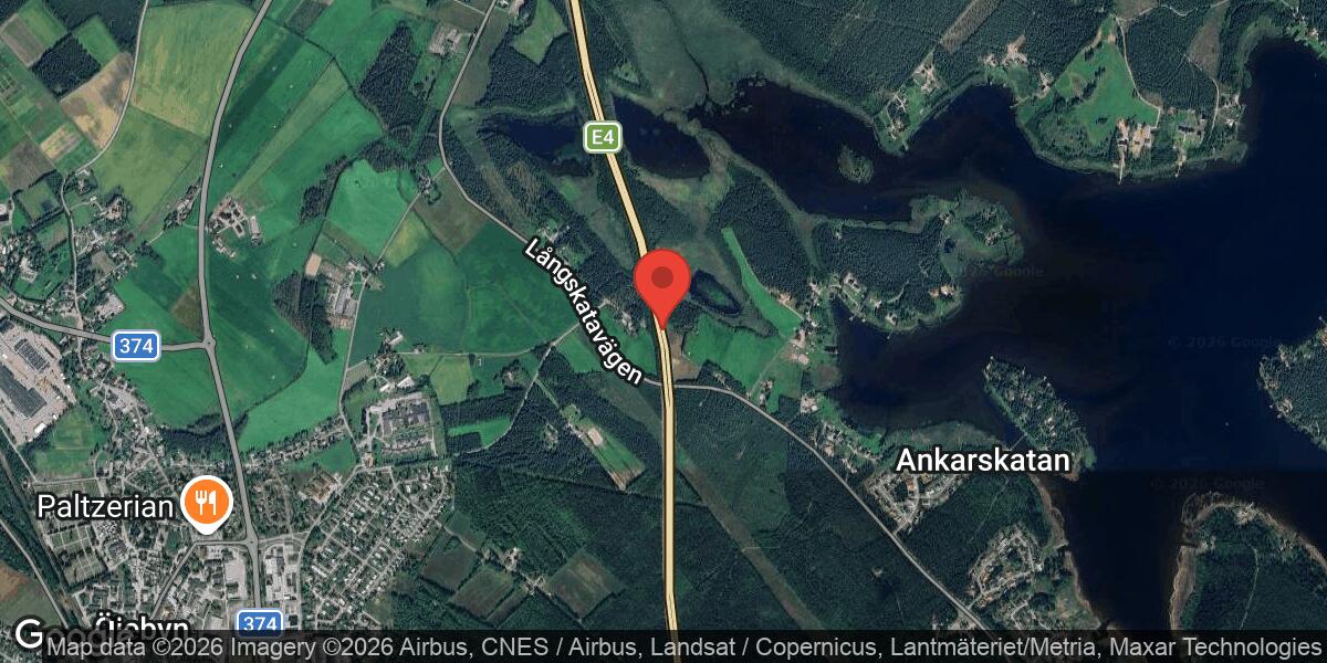 Rådjur på vägen påverkar trafiken på E4 mellan Piteå N och Boviken