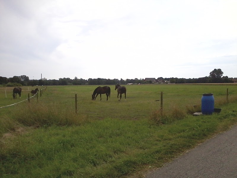 Ny etapp planeras för stadsdelen Tröingedal i Falkenberg