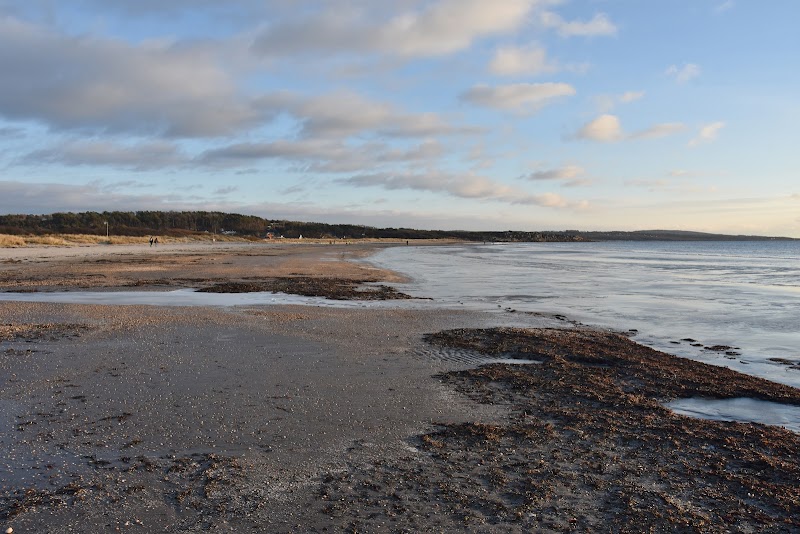 Långasand – vår lugna strand med stora naturvärden och lokalt engagemang